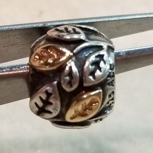 Pandora charm